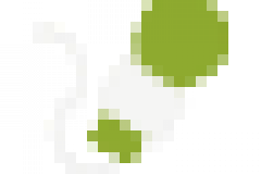 8
