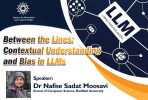 Between the Lines: Contextual Understanding and Bias in LLMs