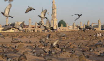 سالروز تخریب قبور مقدس بقیع (روز ویرانی) ‌