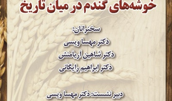 خوشه‌های گندم در میان تاریخ ۳۱ فروردین ۱۴۰۴